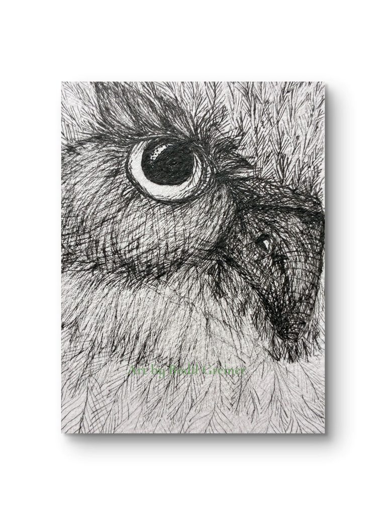 Macro close-up detail showing the intricate fineliner strokes of the original little owl artwork